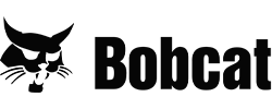 bobcat